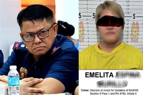 pnp directorate for intelligence|Eleazar names PMA Class 1991 member as new PNP .